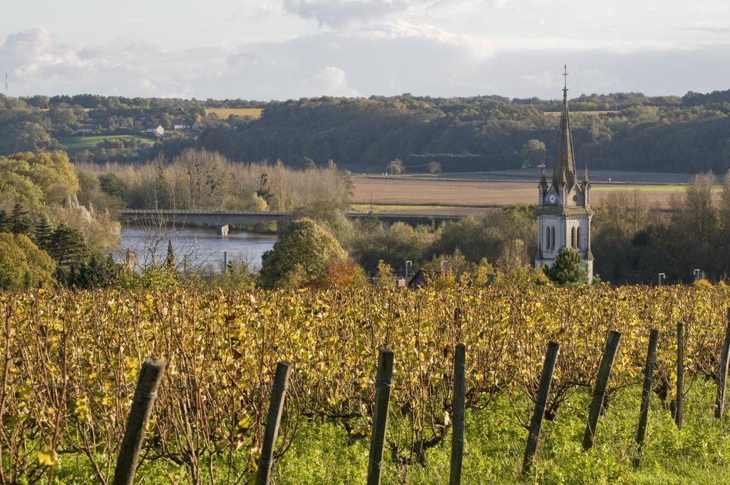 Villa Gite du Domaine du Haut Perron à Thésée Extérieur photo